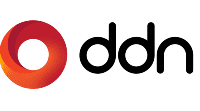 DDN Logo